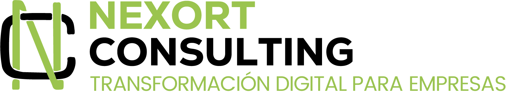 Logo Nexort Consulting